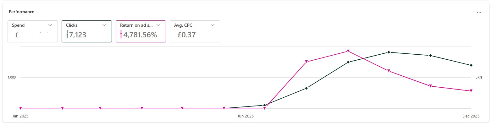 Bing Ads Results 2025